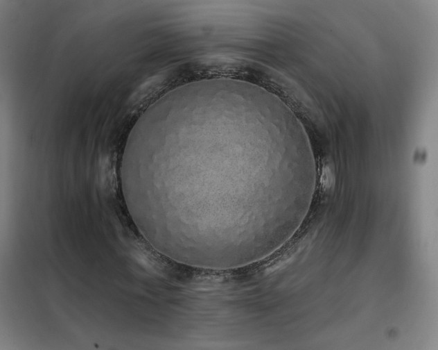 X0000102290771200807251421