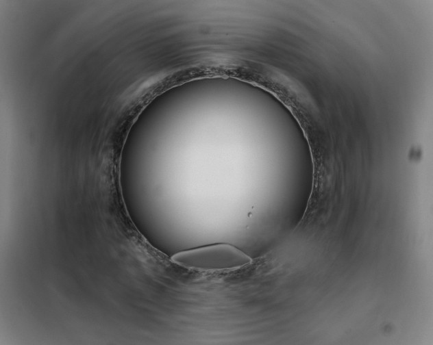 X0000102290773200807251421