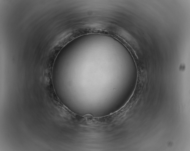 X0000102290774200807251421