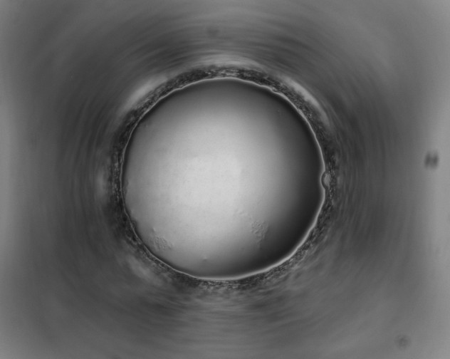 X0000102290775200807251421