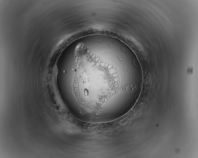 X0000102290776200807251421