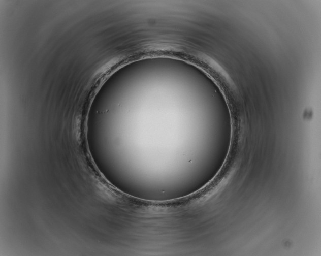X0000102290777200807251421