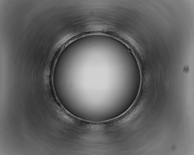 X0000102290778200807251421