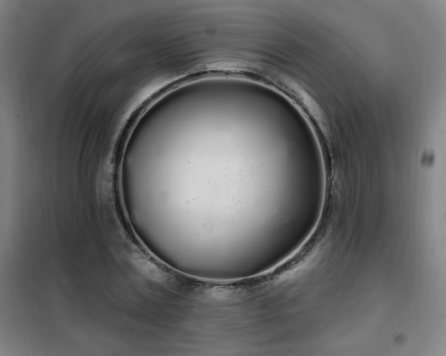 X0000102290779200807251421