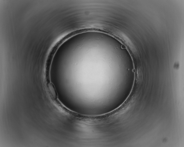 X0000102290780200807251421