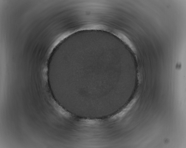 X0000102290781200807251421