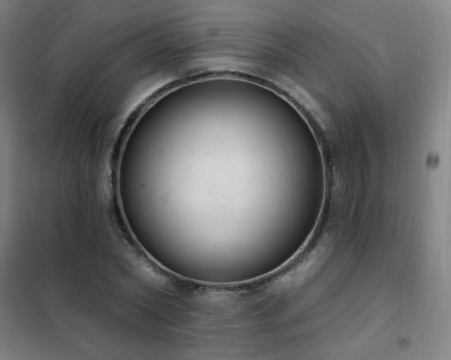 X0000102290782200807251421