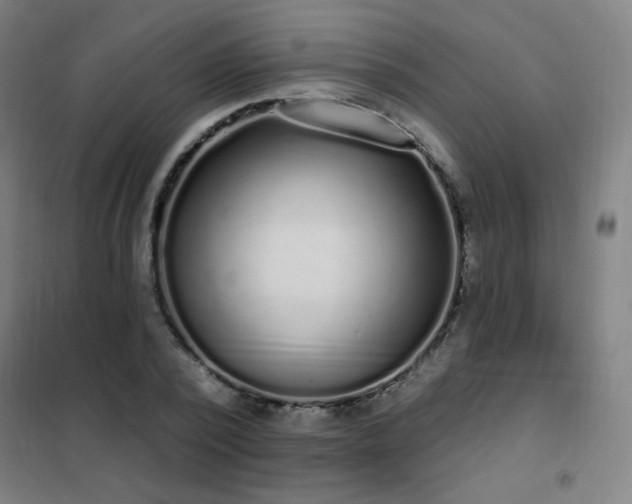 X0000102290784200807251421