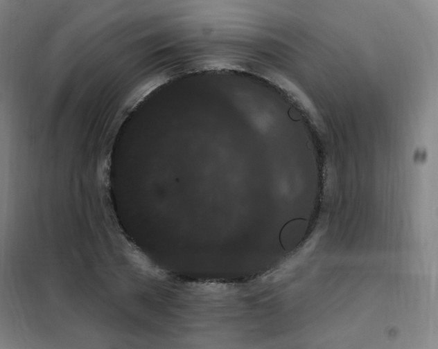 X0000102290785200807251421