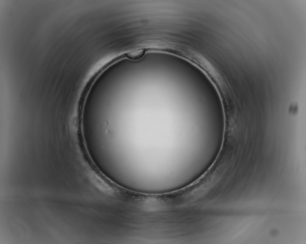 X0000102290787200807251421