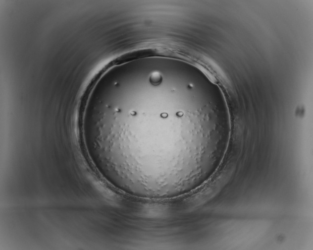 X0000102290788200807251421