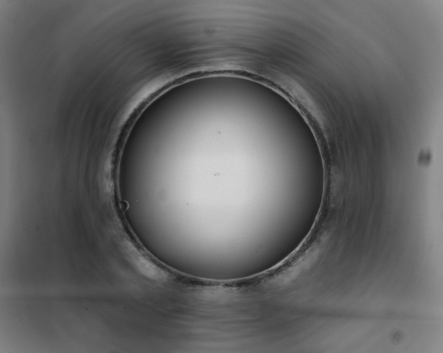 X0000102290789200807251421