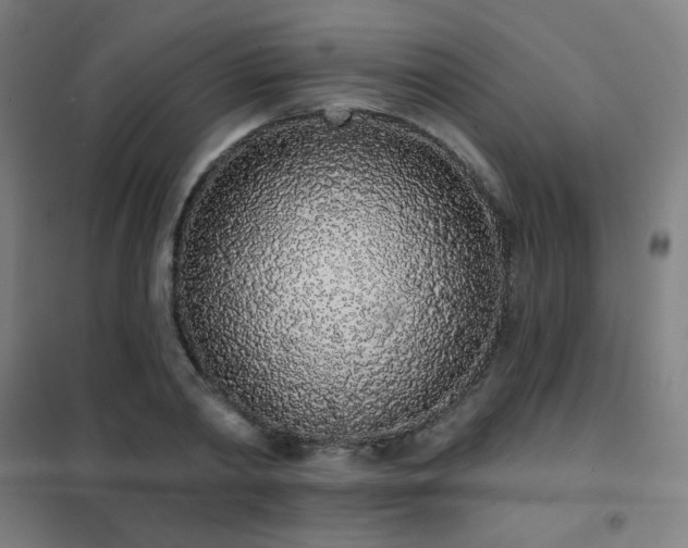 X0000102290790200807251421