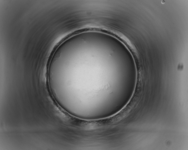 X0000102290791200807251421