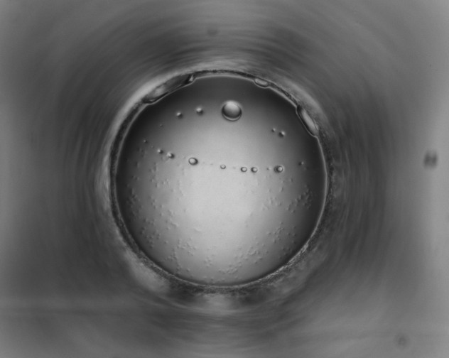 X0000102290792200807251421