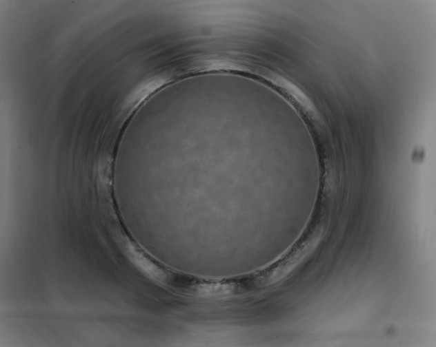 X0000102290793200807251421