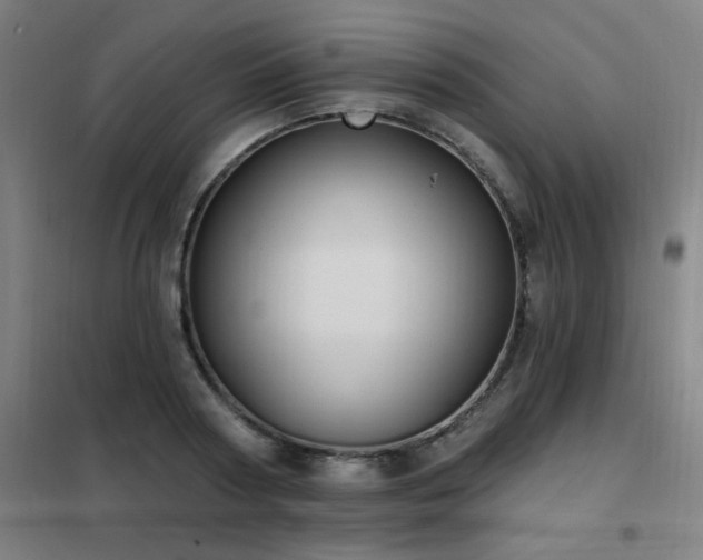 X0000102290794200807251421