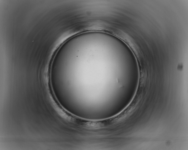 X0000102290795200807251421