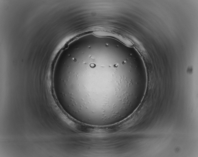 X0000102290796200807251421