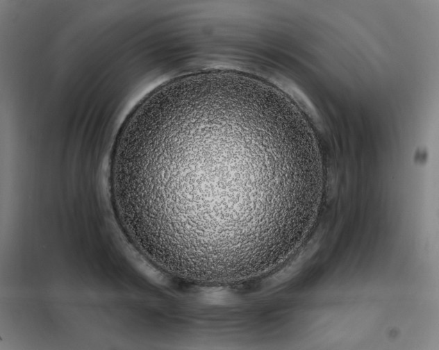 X0000102290798200807251421