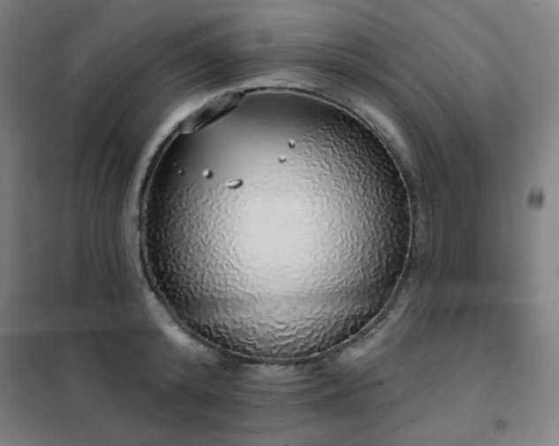 X0000102290800200807251421