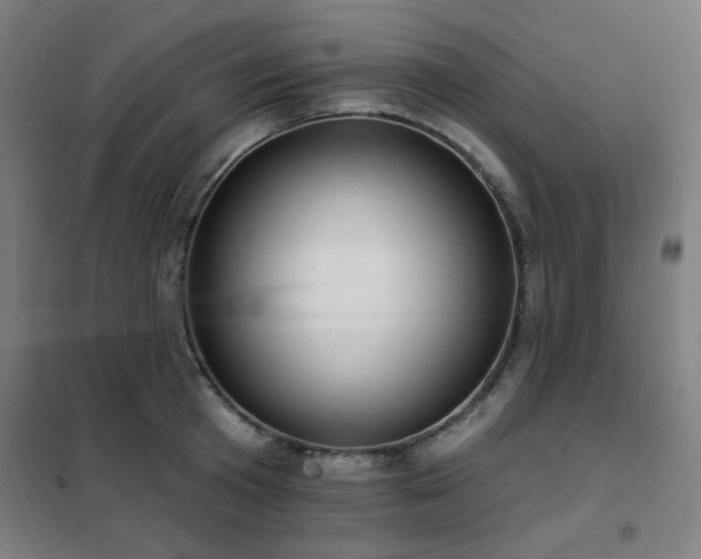 X0000102290801200807251421