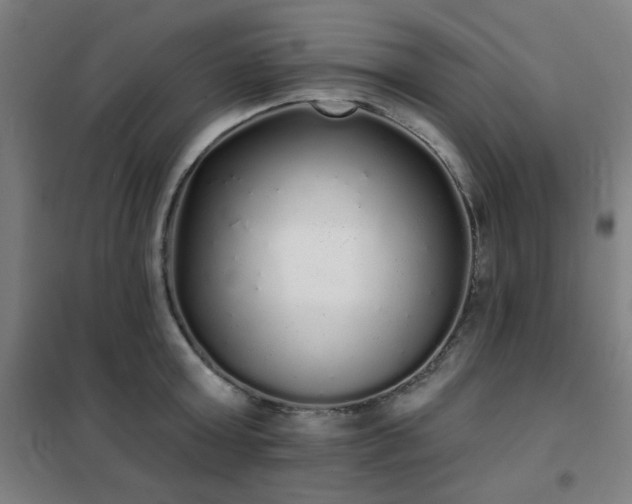 X0000102290803200807251421