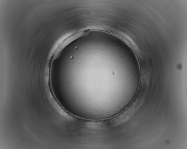 X0000102290804200807251421