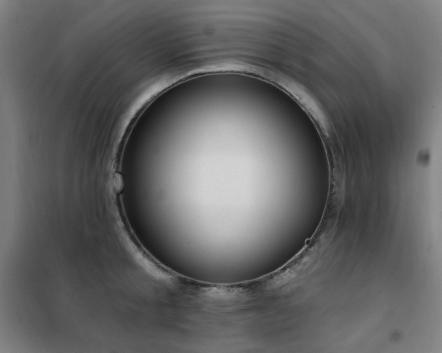 X0000102290805200807251421
