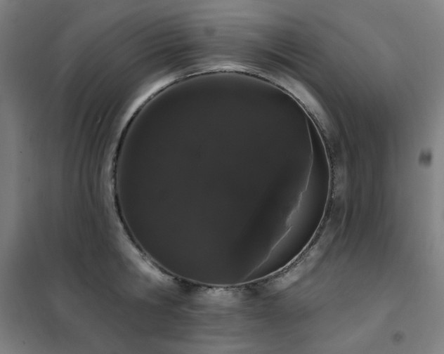 X0000102290806200807251421