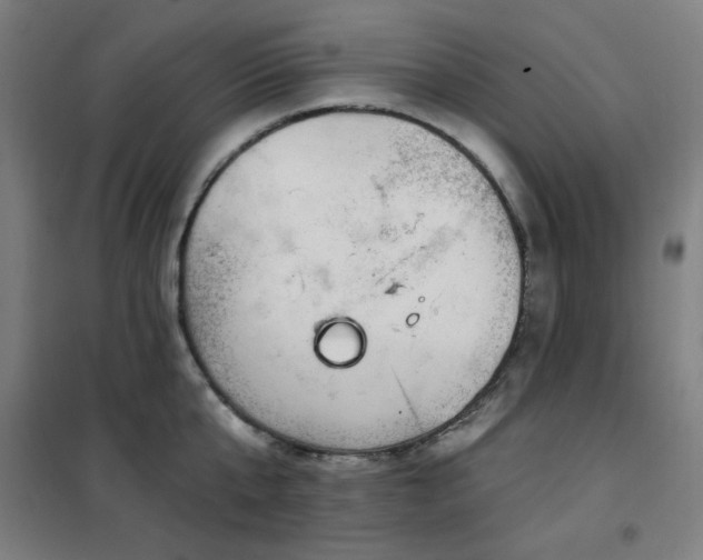 X0000102290807200807251420