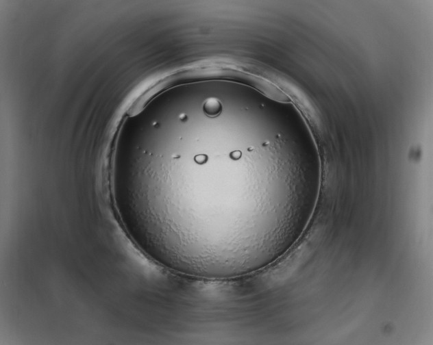 X0000102290808200807251420
