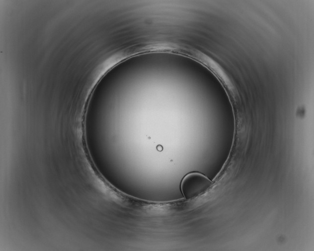 X0000102290810200807251420