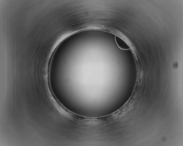 X0000102290811200807251420