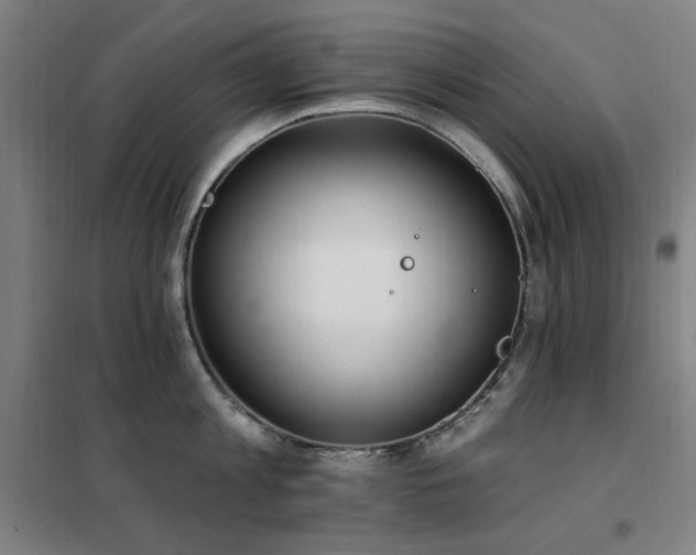 X0000102290813200807251420