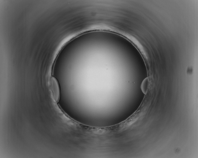X0000102290815200807251420