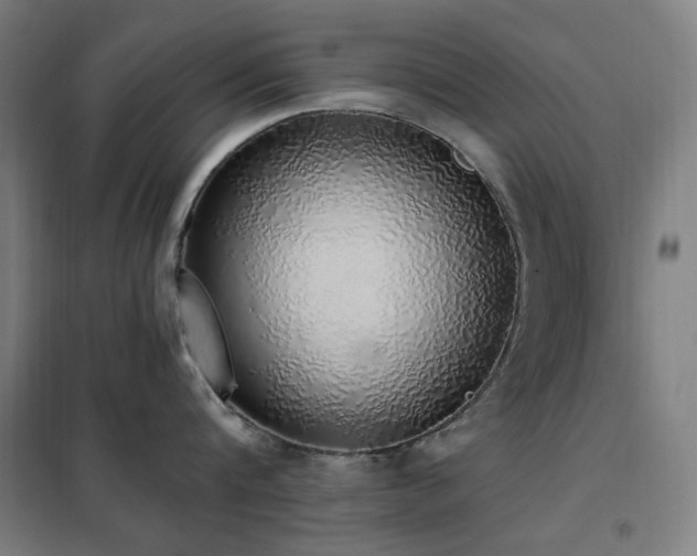 X0000102290816200807251420