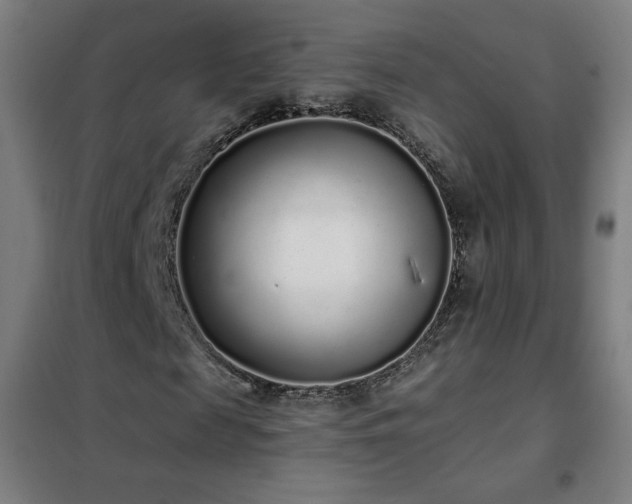 X0000102290817200807251420