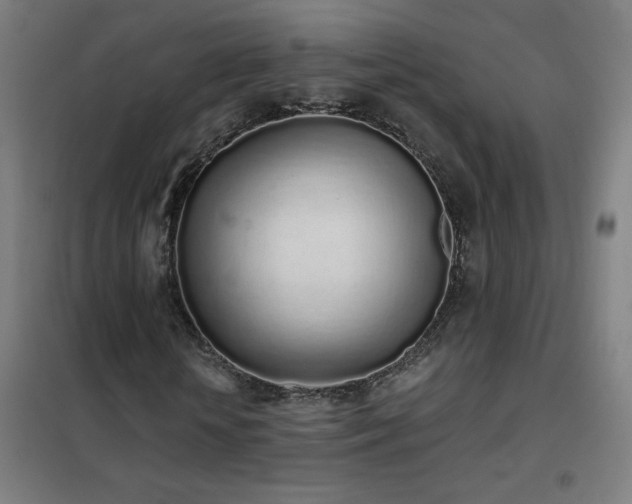 X0000102290818200807251420