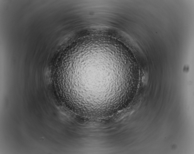 X0000102290819200807251420