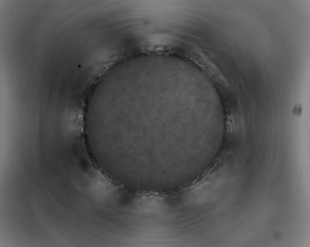 X0000102290820200807251420