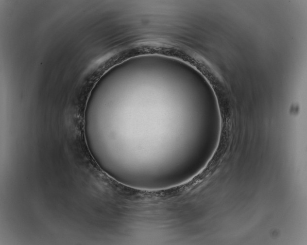 X0000102290822200807251420