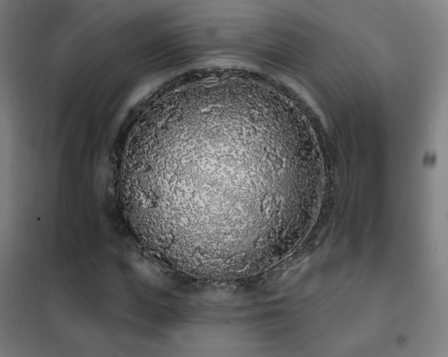 X0000102290823200807251420
