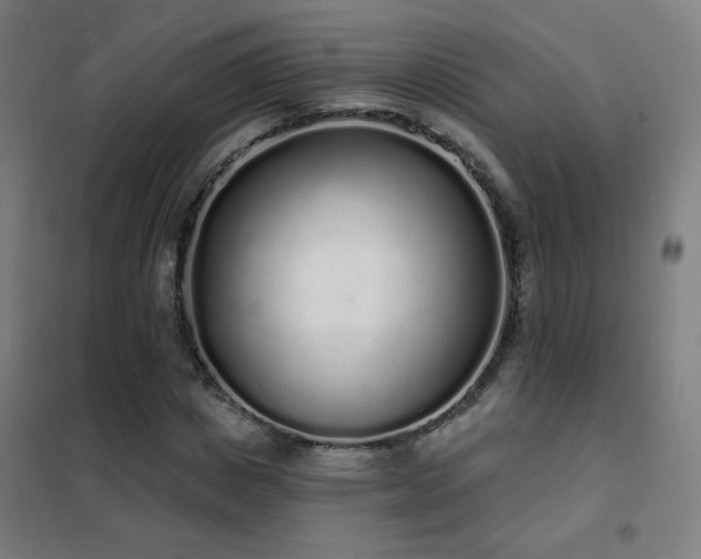 X0000102290825200807251420