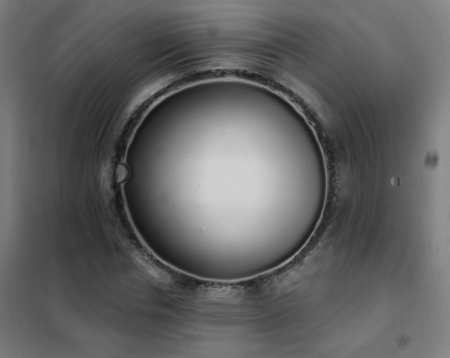 X0000102290826200807251420