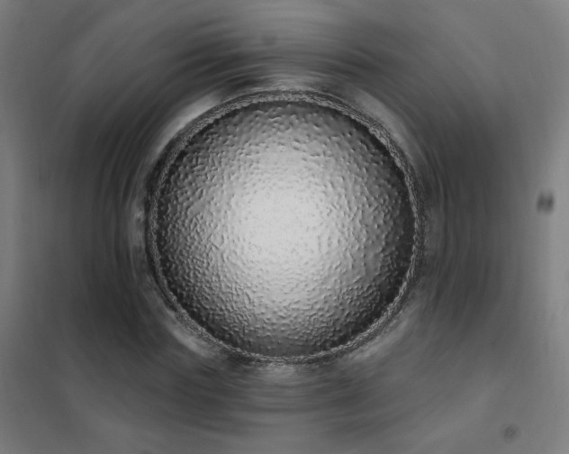 X0000102290827200807251420