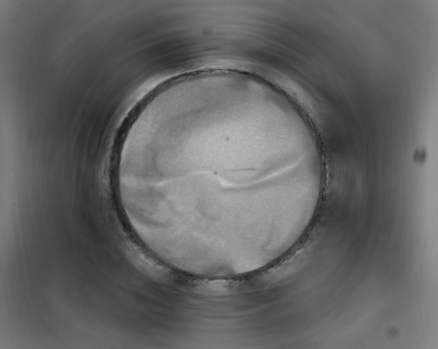 X0000102290828200807251420