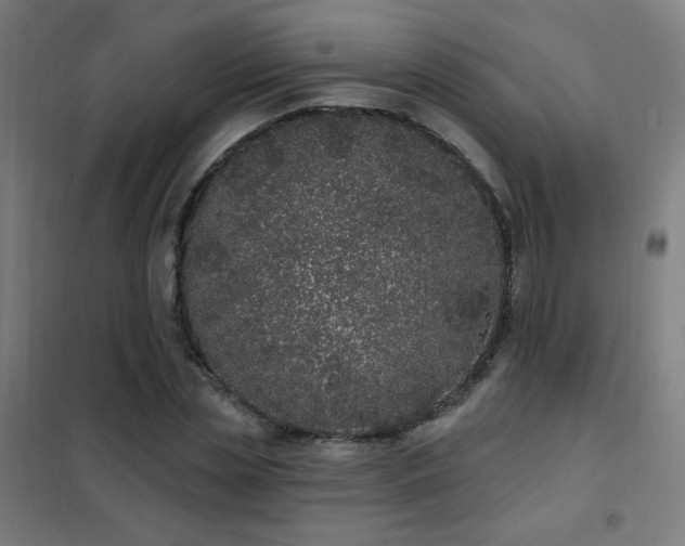 X0000102290829200807251420