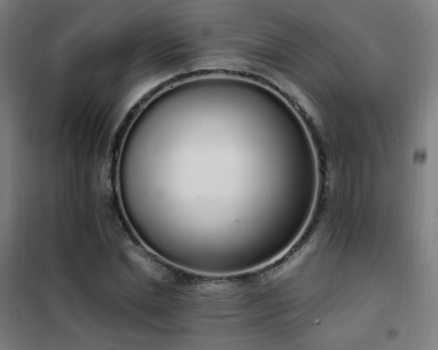 X0000102290830200807251420
