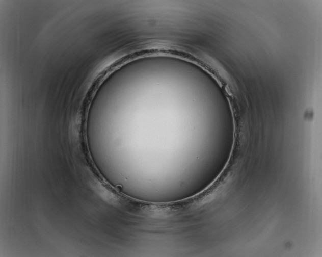 X0000102290831200807251420
